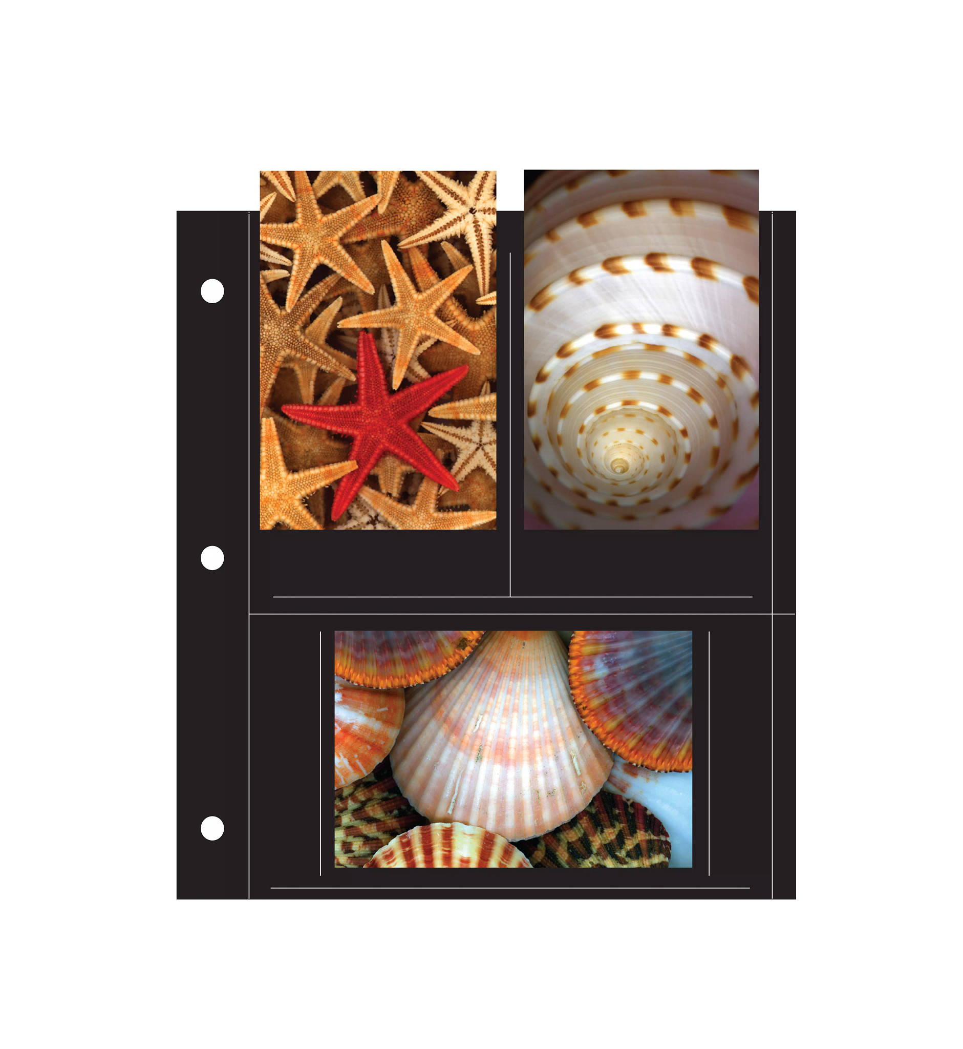 Print File® 6-Pocket Black 3-Hole Punched Album Pages (25-Pack)