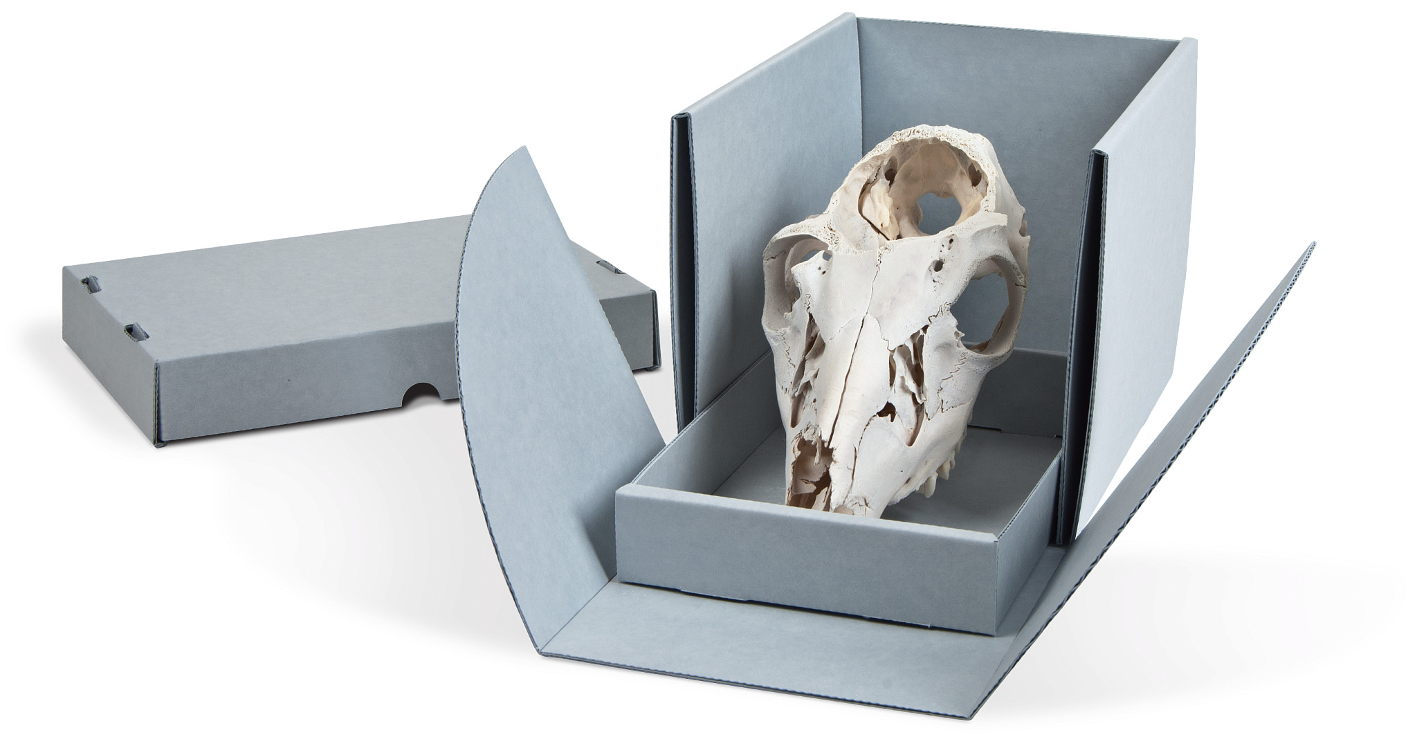 Gaylord Archival® E-flute Drop-Front Artifact Box with Slide-Out Tray