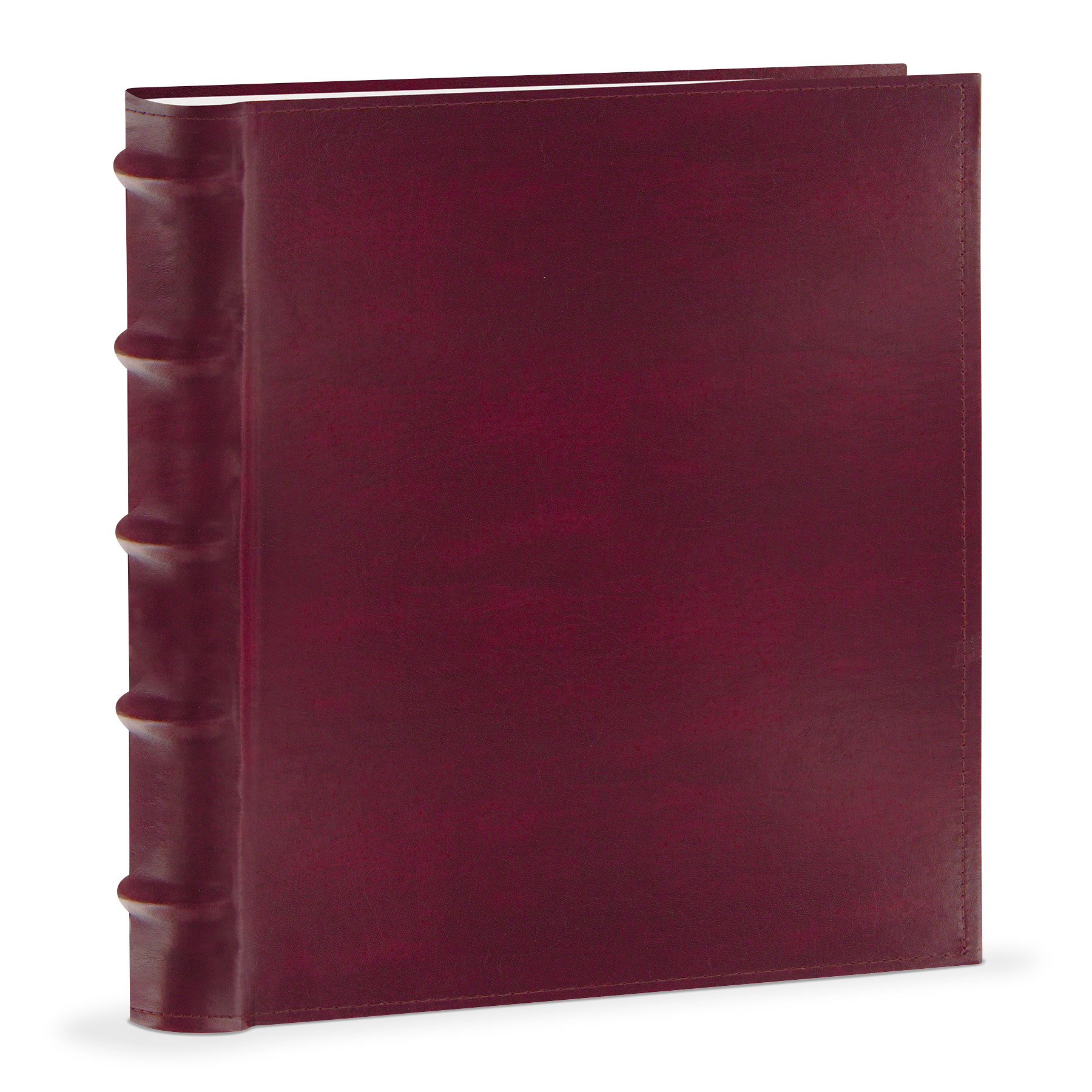 Pioneer® 200-Capacity Bonded Leather Photo Album