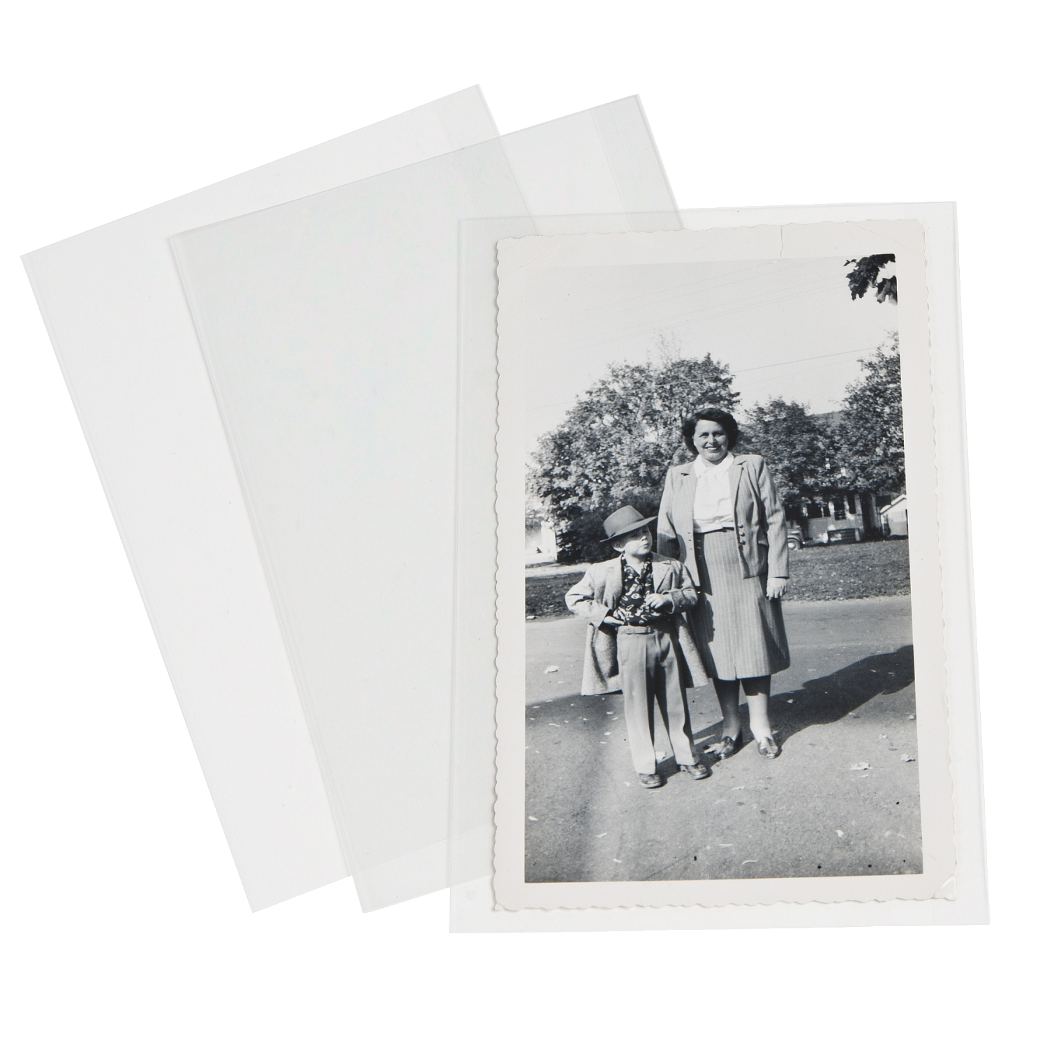 Gaylord Archival 3 mil Polyester Self-Locking Cabinet Card Sleeves (50-Pack) | Envelopes, Sleeves & Protectors | Document Preservation | Preservation | Gaylord Archival Gaylord Archival 3 mil Polyester Self-Locking Cabinet Card Sleeves (50-Pack) | Envelopes, Sleeves & Protectors | Document Preservation | Preservation | Gaylord Archival