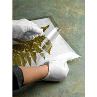 4 mil Archival Polyester Self-Sealing Specimen L-Sleeves (5-Pack)