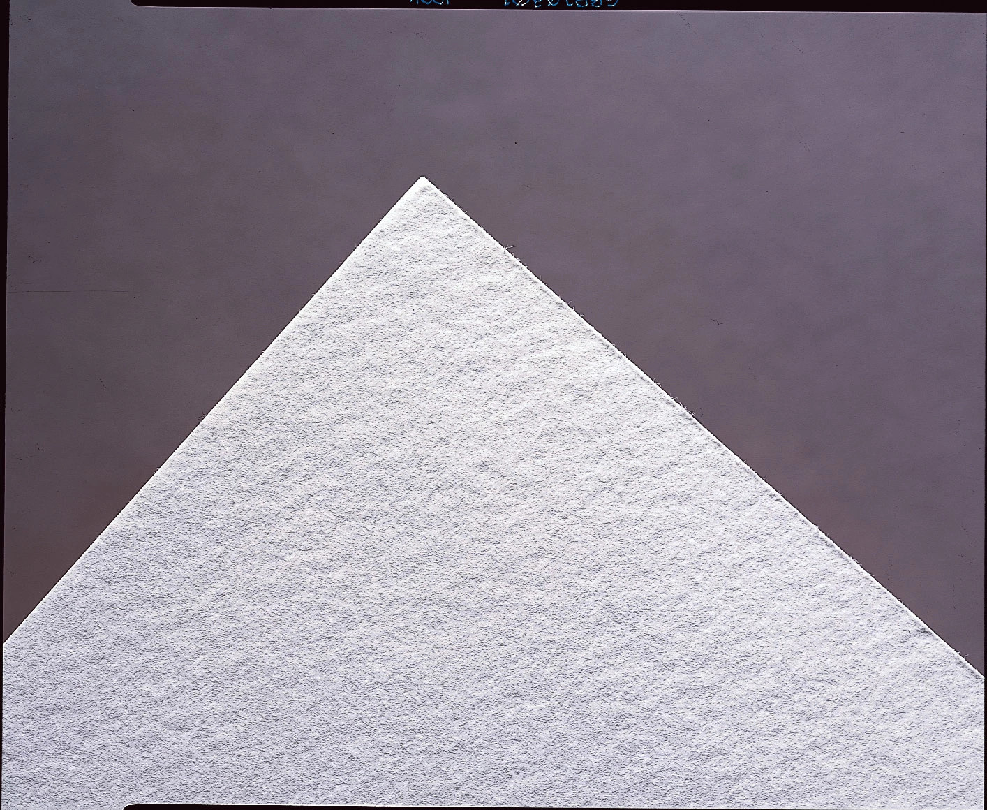 Unbuffered Blotting Paper (100-Pack)