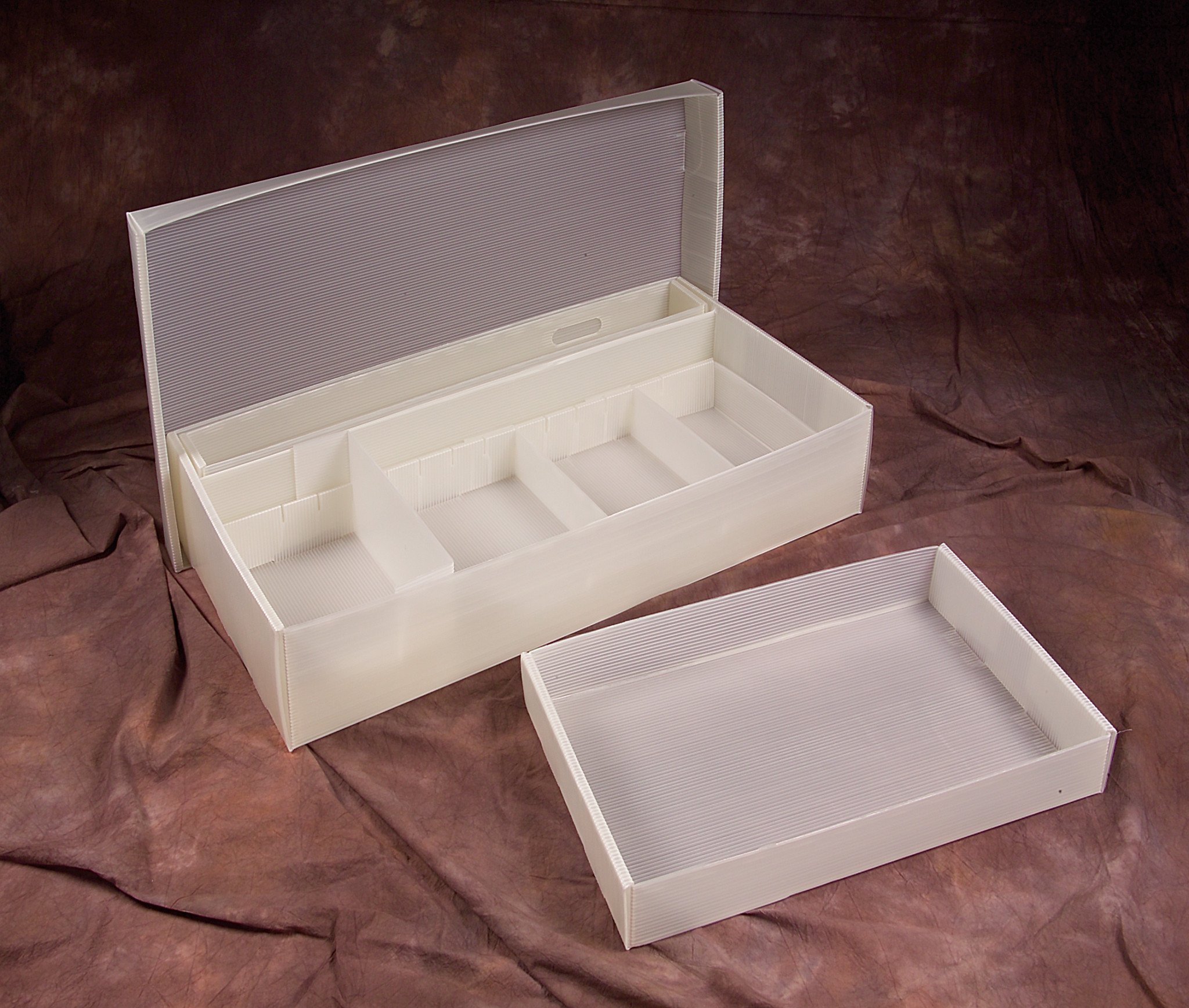 Gaylord Archival® Corrugated Polypropylene Skeletal Remains Box