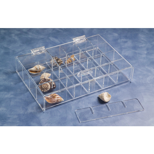Small Adjustable Acrylic Specimen Tray with Lid