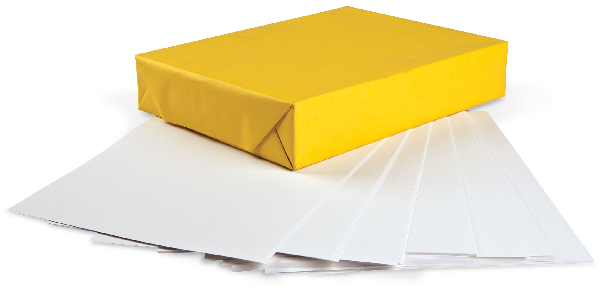 Permalife 20 lb. Bond Paper (500 Sheets)