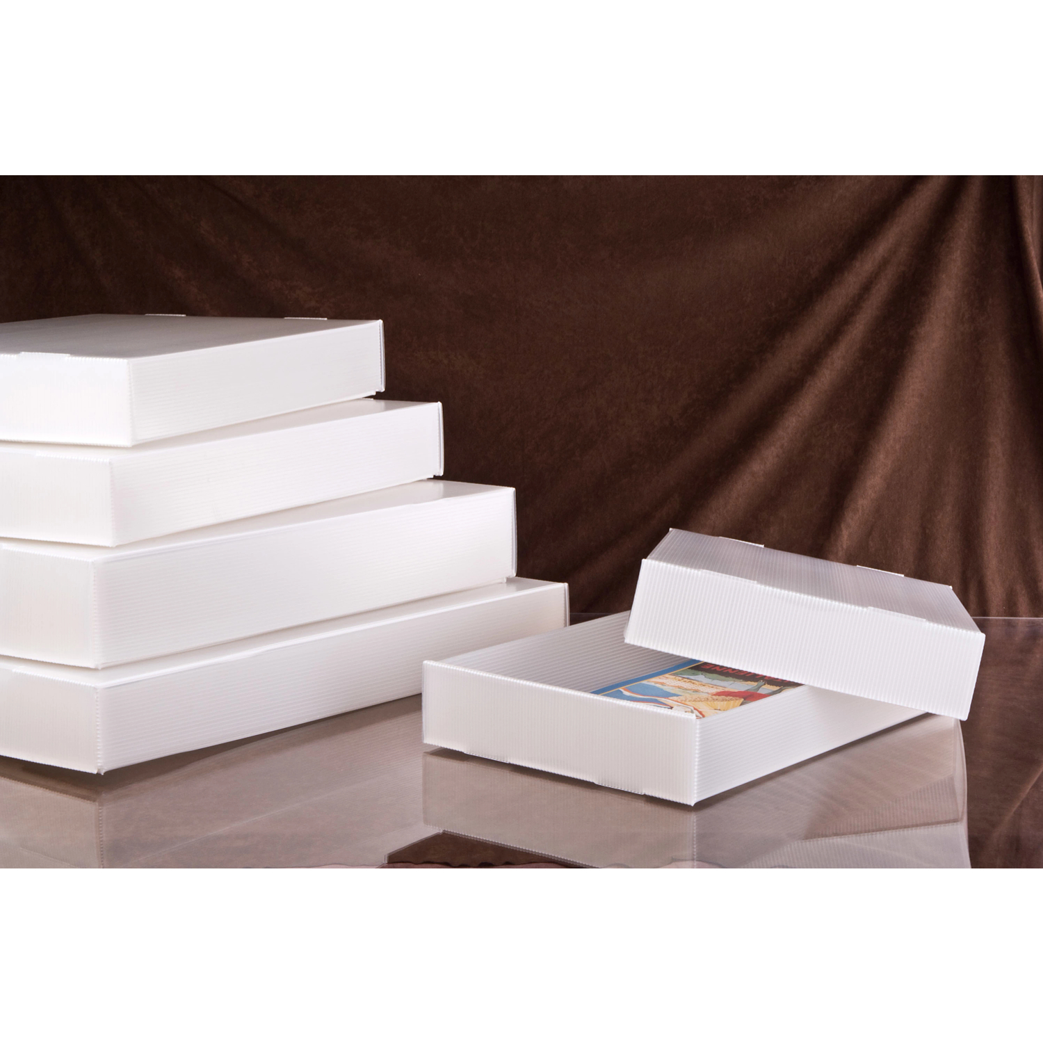 Family Photo Boxes, Albums & Scrapbooks, Gaylord Archival
